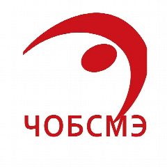 Канал ГБУЗ ЧОБСМЭ в мессенджере MAX — 17 подписчиков