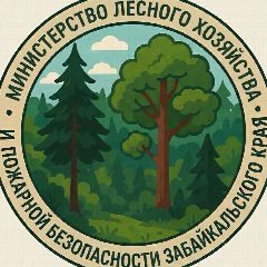 Канал Минлес Забайкалья в мессенджере MAX — 1 048 подписчиков