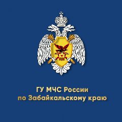 Канал МЧС Забайкальского края в мессенджере MAX — 1 553 подписчика