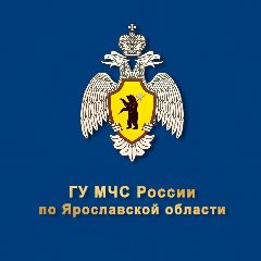 Канал МЧС России по Ярославской области в мессенджере MAX — 1 227 подписчиков