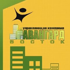 Канал УК "Авангард Восток" в мессенджере MAX — 117 подписчиков