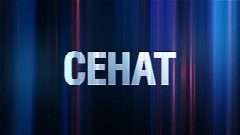 Канал Сенат в мессенджере MAX — 213 подписчиков
