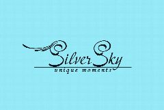 Канал Silver Sky в мессенджере MAX — 99 подписчиков