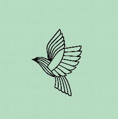 Канал Lacy Bird - цветы как искусство в мессенджере MAX — 35 подписчиков