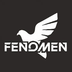 Канал Fenomen в мессенджере MAX — 27 подписчиков