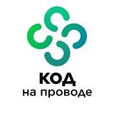 Канал Код на проводе в мессенджере MAX — 226 подписчиков