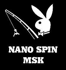 Канал NanoSpinMsk в мессенджере MAX — 286 подписчиков