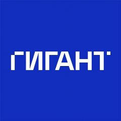 Канал ГИГАНТ - Компьютерные системы в мессенджере MAX — 245 подписчиков