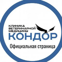 Канал Ветеринарная клиника Кондор в мессенджере MAX — 34 подписчика