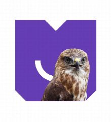 Канал Ситиматик в мессенджере MAX — 185 подписчиков
