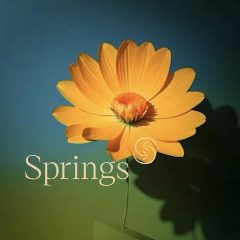 Канал Клубный дом Springs в мессенджере MAX — 534 подписчика