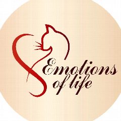 Канал EMOTIONS OF LIFE в мессенджере MAX — 843 подписчика
