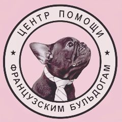 Канал Помощь французским бульдогам в мессенджере MAX — 38 подписчиков