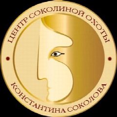 Канал Центр соколиной охоты Константина Соколова в мессенджере MAX — 29 подписчиков