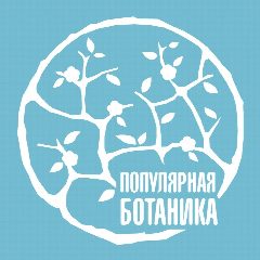 Канал ПОПУЛЯРНАЯ БОТАНИКА. Про творчество и цветы в мессенджере MAX — 12 подписчиков