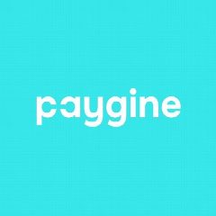 Канал Paygine: финтех для бизнеса и людей в мессенджере MAX — 210 подписчиков
