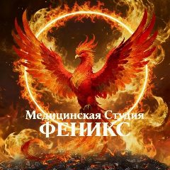 Канал Медицинская студия «ФЕНИКС» СПб в мессенджере MAX — 12 подписчиков