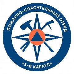 Канал ДПК «5-й караул» в мессенджере MAX — 31 подписчик
