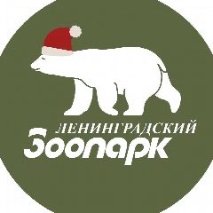 Канал Ленинградский зоопарк в мессенджере MAX — 4 344 подписчика