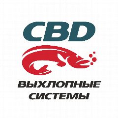 Канал СиБиДи Выхлопные Системы в мессенджере MAX — 13 подписчиков