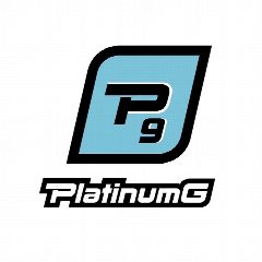 Канал PlatinumG | Сеть автостудий в мессенджере MAX — 33 подписчика