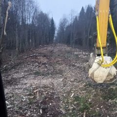 Канал Расчистка участков, борьба с борщевиком, демонтаж в мессенджере MAX — 23 подписчика
