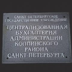 Канал СПб ГКУ "ЦБА Колпинского района" в мессенджере MAX — 73 подписчика