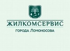Канал ООО "ЖКС г. Ломоносова" в мессенджере MAX — 46 подписчиков