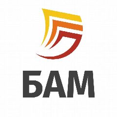 Канал Цифровая типография БАМ в мессенджере MAX — 53 подписчика