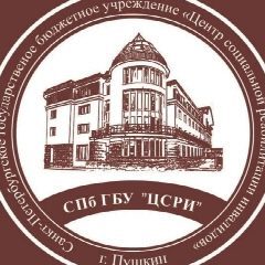 Канал СПб ГБУ "ЦСРИ" в мессенджере MAX — 70 подписчиков