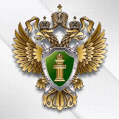 Канал Прокуратура г. Санкт-Петербурга в мессенджере MAX — 1 763 подписчика