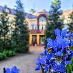 Канал ГБДОУ детский сад 19 Курортного района Санкт-Петербурга в мессенджере MAX — 203 подписчика