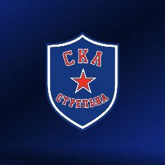Канал СКА-Стрельна в мессенджере MAX — 431 подписчик