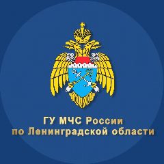 Канал МЧС Ленинградской области в мессенджере MAX — 2 013 подписчиков