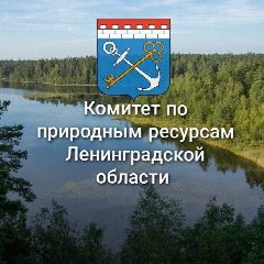 Канал Комитет по природным ресурсам Ленобласти в мессенджере MAX — 126 подписчиков