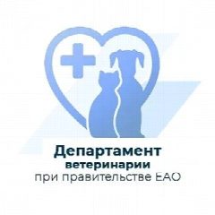 Канал Департамент ветеринарии Еврейской АО в мессенджере MAX — 54 подписчика