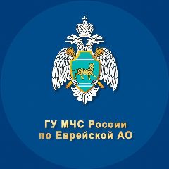 Канал МЧС Еврейской АО в мессенджере MAX — 1 023 подписчика