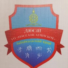 Канал Муниципальное учреждение дополнительного образования "Детско-юношеская спортивная школа" городского округа "Поселок Агинское" в мессенджере MAX — 16 подписчиков