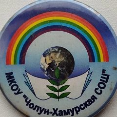 Канал МКОУ "Чолун-Хамурская СОШ " в мессенджере MAX — 29 подписчиков
