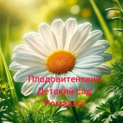 Канал МКДОУ Плодовитенский детский сад "Ромашка" МРМО РК в мессенджере MAX — 19 подписчиков