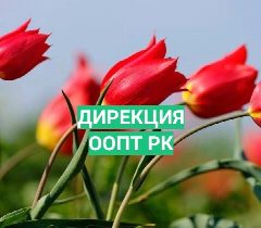 Канал БУ РК "Дирекция особо охраняемых природных территорий Республики Калмыкия" в мессенджере MAX — 62 подписчика