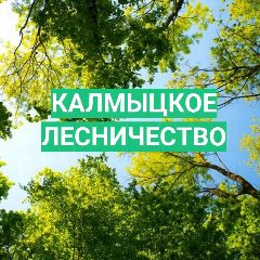 Канал КУ РК «Калмыцкое лесничество» в мессенджере MAX — 111 подписчиков