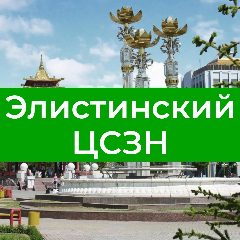 Канал КУ РК "ЦСЗН города Элисты" в мессенджере MAX — 147 подписчиков