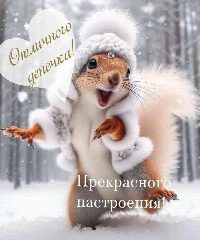 Канал МБДОУ N17 «Белочка» в мессенджере MAX — 166 подписчиков
