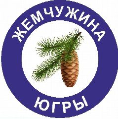 Канал Жемчужина Югры. Протезирование. в мессенджере MAX — 299 подписчиков
