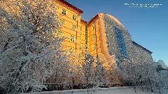 Канал Салехардская окружная клиническая больница в мессенджере MAX — 383 подписчика
