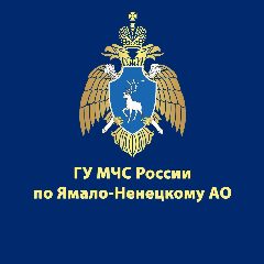 Канал МЧС Ямало-Ненецкого АО в мессенджере MAX — 3 791 подписчик