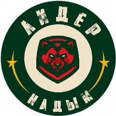 Канал Спортивная школа "Лидер" в мессенджере MAX — 151 подписчик