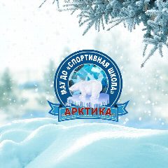 Канал «Спортивная школа «Арктика» Надым в мессенджере MAX — 241 подписчик