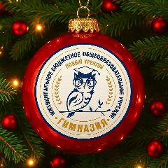 Канал Гимназия г. Новый Уренгой в мессенджере MAX — 983 подписчика